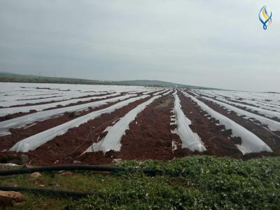 Прикрепленное изображение: 276066610_5244872248864273_8719111308777893296_n.jpg